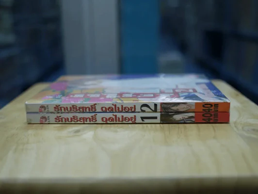 รักบริสุทธิ์ฉุดไม่อยู่ 2 เล่มจบ รูปที่ 2