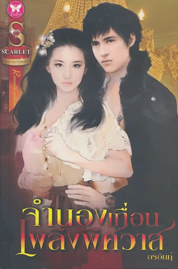จำนองเถื่อนเพลิงพิศวาส รูปที่ 1
