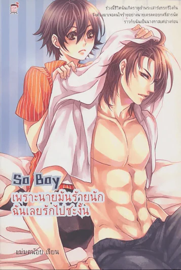 So Boy เพราะนายมันร้ายนักฉันเลยรักไปซะงั้น รูปที่ 1