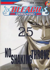 BLEACH เทพมรณะ เล่ม 25 รูปที่ 1