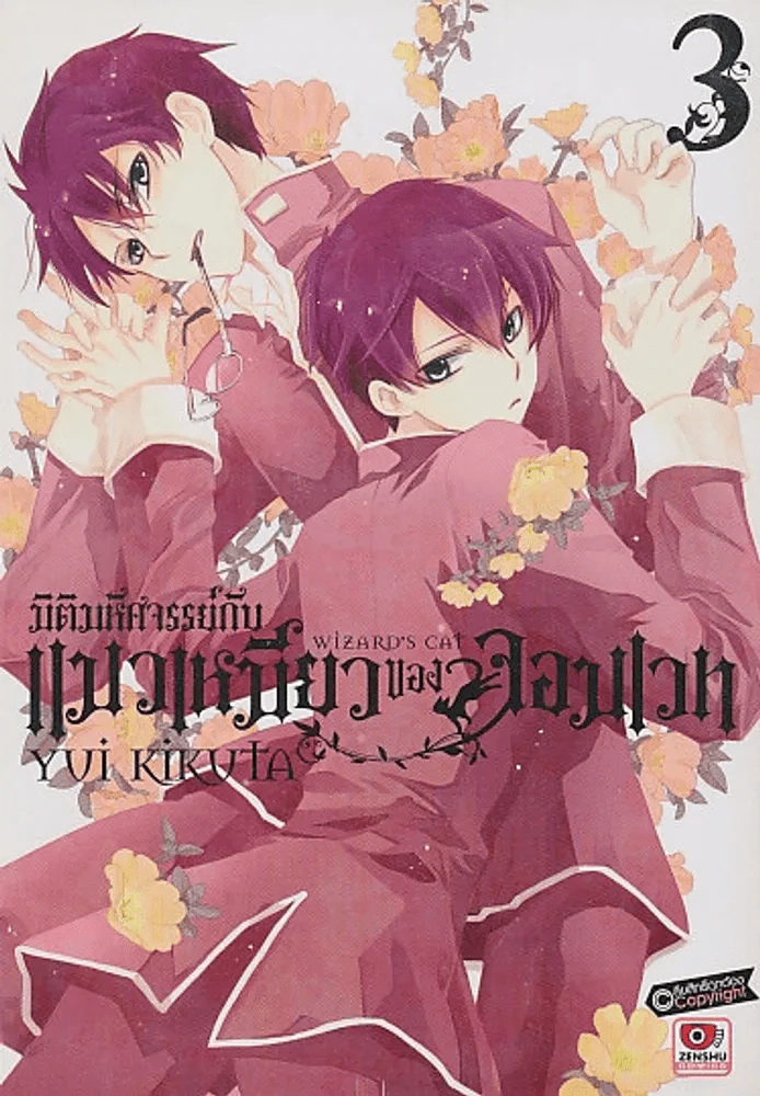 มิติมหัศจรรย์กับ แมวเหมียวของจอมเวท เล่ม 3 รูปที่ 1