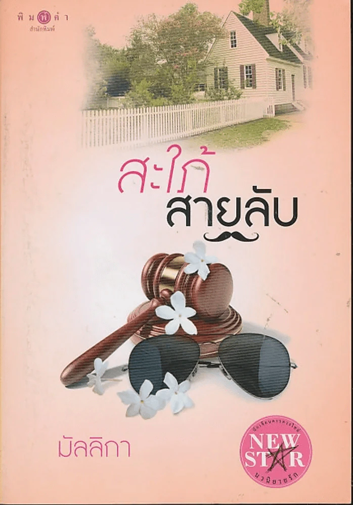 สะใภ้สายลับ รูปที่ 1