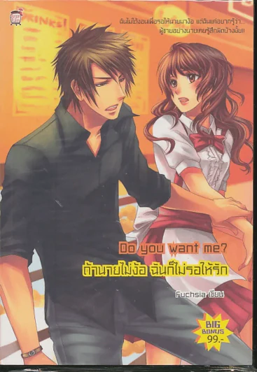 Do you want me ถ้านายไม่ง้อ ฉันก็ไม่รอให้รัก รูปที่ 1
