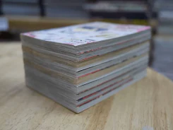 มาเฟียที่รัก 9 เล่มจบ รูปที่ 3
