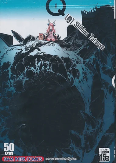 Q คู เล่ม 1 รูปที่ 1