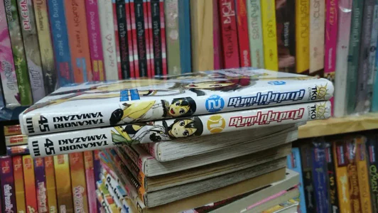 สาวซ่าส์ป๋าสั่งลุย เล่ม 1-2 รูปที่ 2