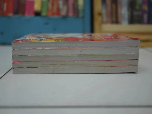 นักสู้ตัวฮอ 5 เล่มจบ มือหนึ่ง (คนเขียนเดียวกับครอบครัวตัวฮอ) รูปที่ 4