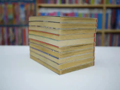 นักรบเหล็กเทวะ 10 เล่มจบ รูปที่ 4