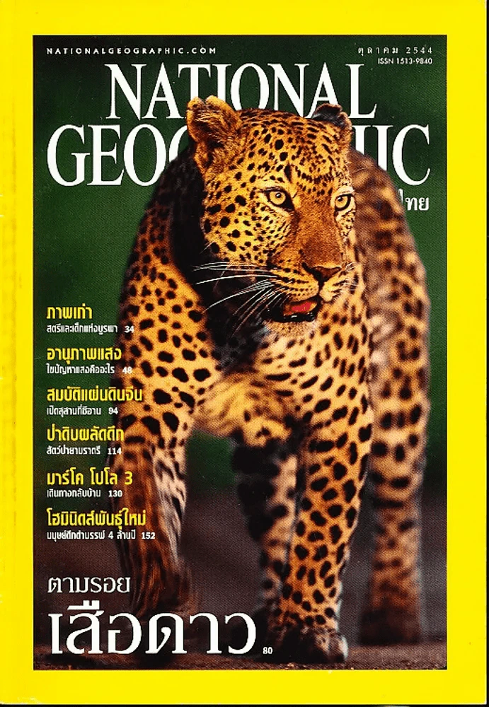 National Geographic ตุลาคม 2544 ตามรอยเสือดาว รูปที่ 1