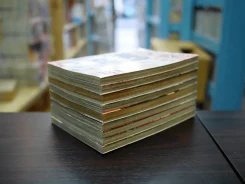 มาเฟียที่รัก 9 เล่มจบ รูปที่ 3