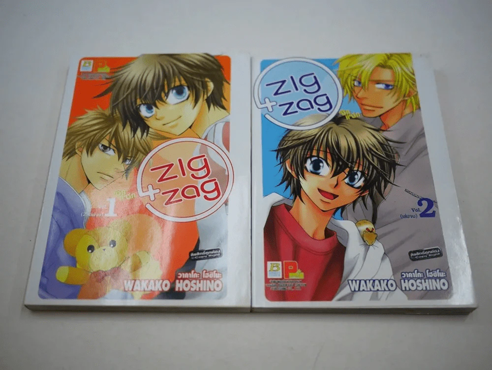 Zig Zag ซิกแซก 2 เล่มจบ รูปที่ 1