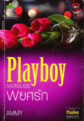 เพลย์บอยพยศรัก  Playboy รูปที่ 1