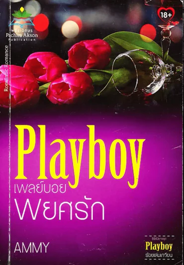 เพลย์บอยพยศรัก  Playboy รูปที่ 1