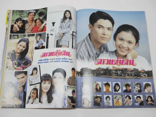 ดาวแต้มดิน รูปที่ 7