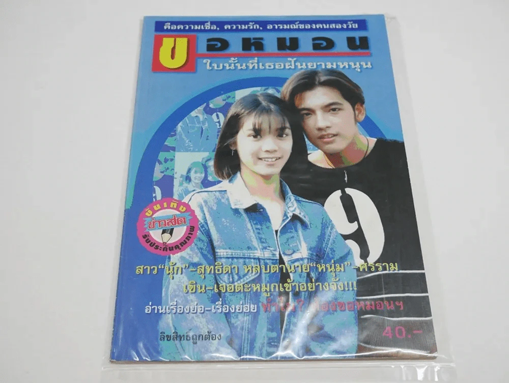 ขอหมอนใบนั้นที่เธอฝันยามหนุน รูปที่ 1
