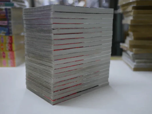 Vampire Knight 19 เล่มจบ + Fanbook รูปที่ 3