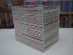 เจ้าสาวซาตาน 17 เล่มจบ (มือหนึ่ง) รูปที่ 4