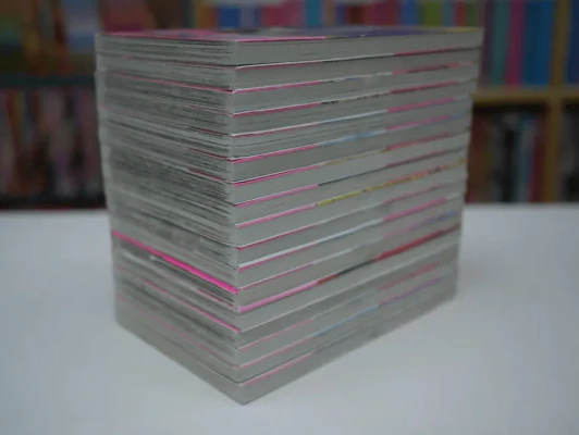 เจ้าสาวซาตาน 17 เล่มจบ (มือหนึ่ง) รูปที่ 3