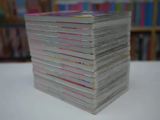 เจ้าสาวซาตาน 17 เล่มจบ (มือหนึ่ง) รูปที่ 4
