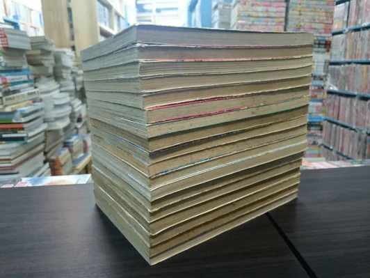 2 สิงห์นักซิ่งจิ๋ว ภาค 1+2 (ขาด 2 เล่ม) รูปที่ 2