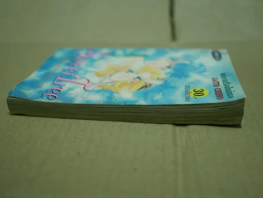 Sweet Tree (Saito Chiho) สภาพบวมน้ำ รูปที่ 4
