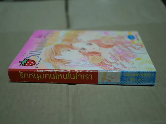 รักหนุ่มไหนในใจเรา รูปที่ 2