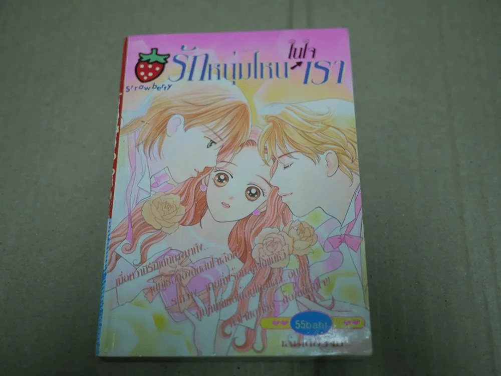 รักหนุ่มไหนในใจเรา รูปที่ 1