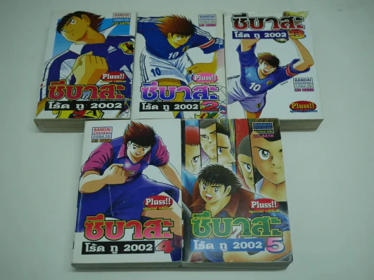 ซึบาสะโร้ดทู 2002 Plus 5 เล่มจบ รูปที่ 6