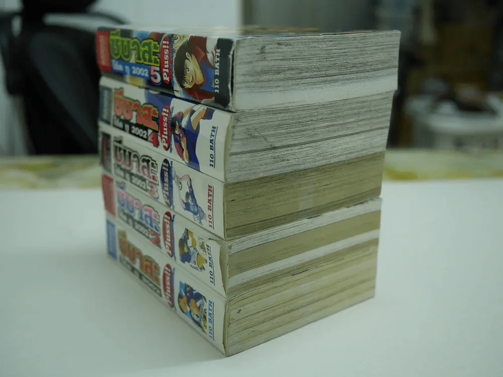 ซึบาสะโร้ดทู 2002 Plus 5 เล่มจบ รูปที่ 3