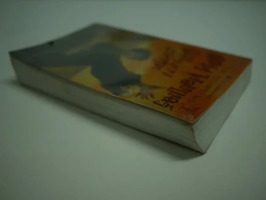 Harry Potter แฮร์รี่ พอตเตอร์ กับเครื่องรางยมทูต (สภาพไม่สวย อ่านได้เนื้อหาครบ) รูปที่ 4