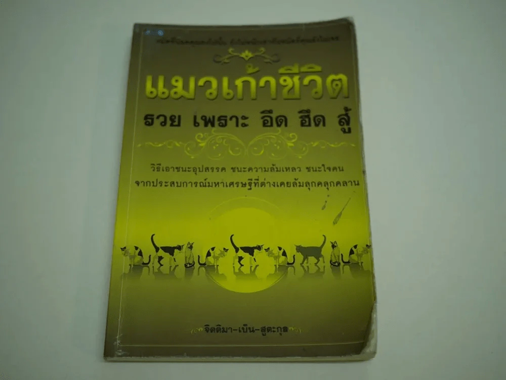 แมวเก้าชีวิต รวย เพราะ อึด ฮึด สู้ (สภาพบวมน้ำ) รูปที่ 1