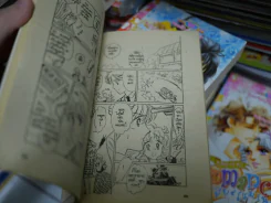เพลงรักอันตราย รูปที่ 3