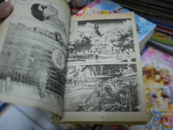 หมาจนตรอก รูปที่ 3
