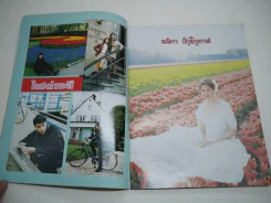 ไฟต่างสี รูปที่ 3