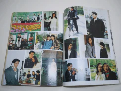 ไฟต่างสี รูปที่ 11