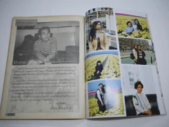 ไฟต่างสี รูปที่ 10