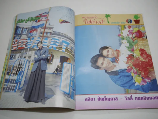 ไฟต่างสี รูปที่ 6