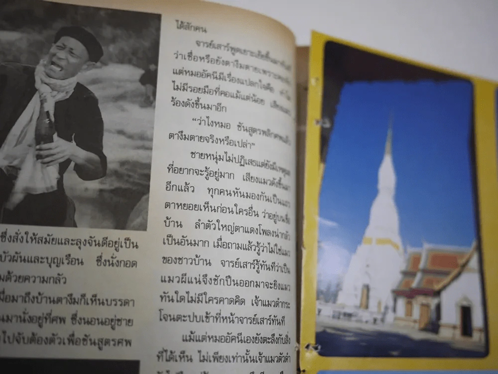 ภูตแม่น้ำโขง (สภาพไม่สวย พิจารณาจากรูป) รูปที่ 8
