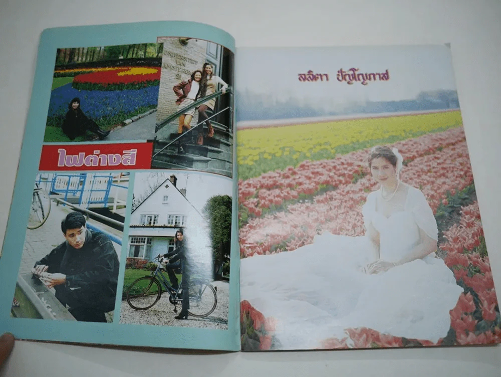 ไฟต่างสี รูปที่ 3