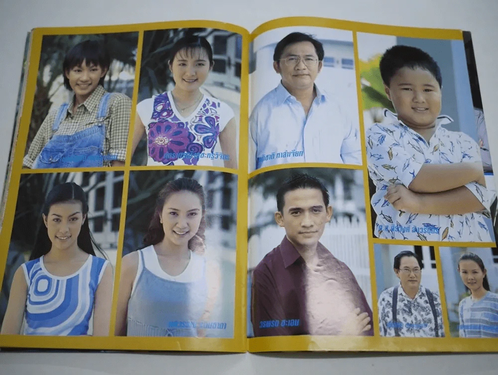 ม่านบังใจ รูปที่ 11