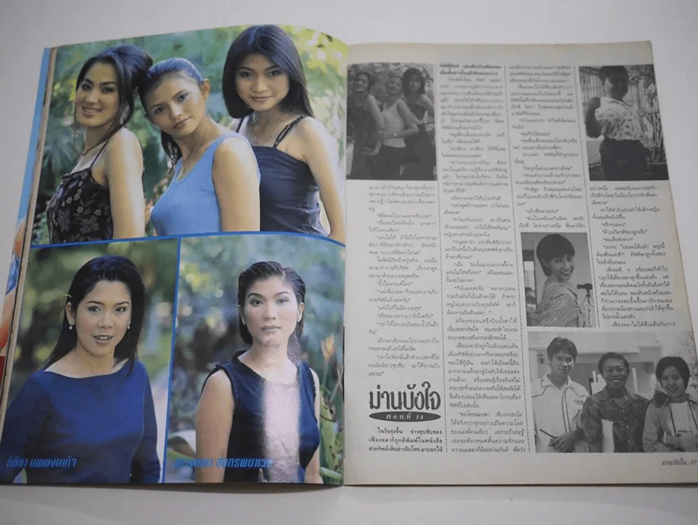 ม่านบังใจ รูปที่ 8