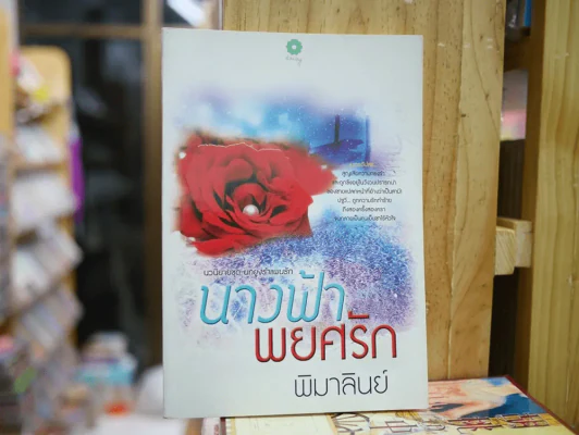 นางฟ้าพยศรัก รูปที่ 1