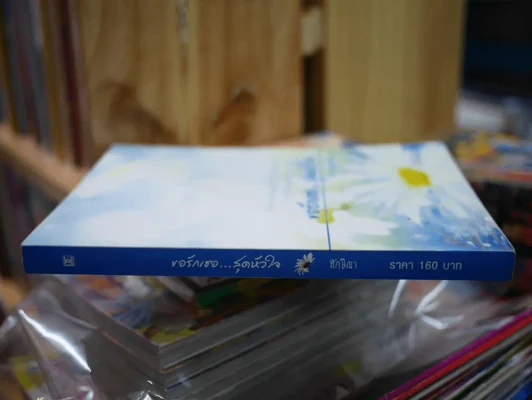 ขอรักเธอสุดหัวใจ รูปที่ 2