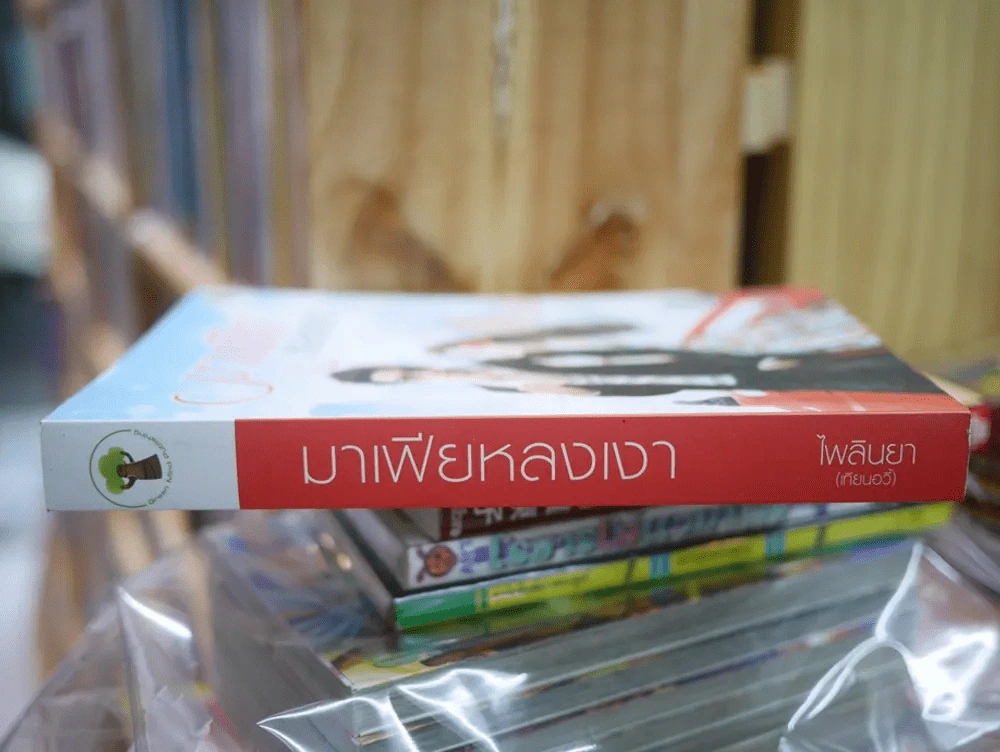 มาเฟียหลงเงา รูปที่ 2