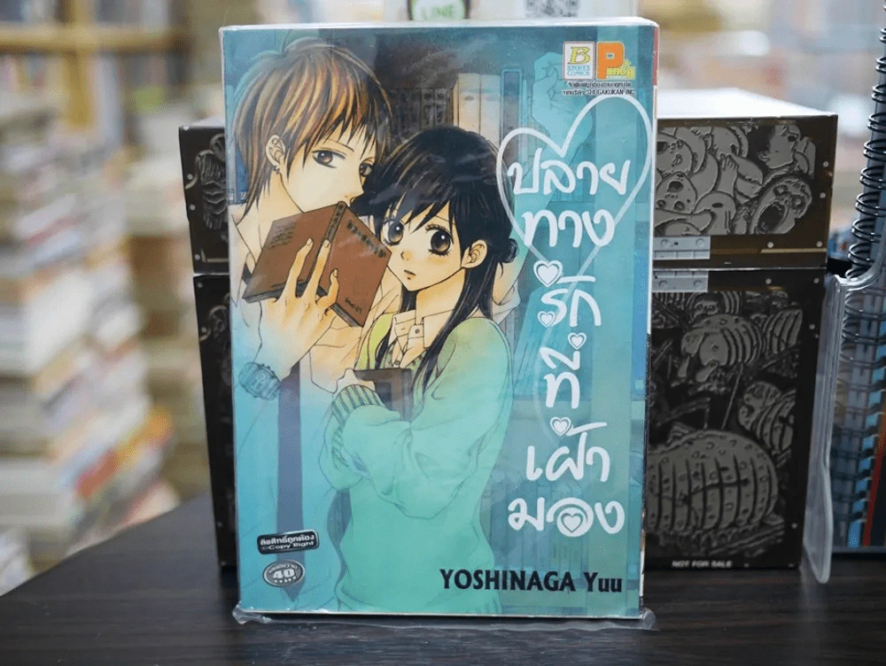 ปลายทางรักที่เฝ้ามอง รูปที่ 1