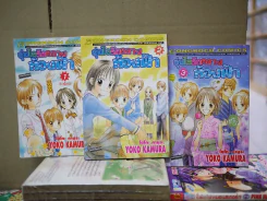 อุ่นไอรักกลางท้องฟ้า 3 เล่มจบ รูปที่ 1