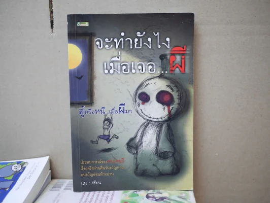 จะทำยังไงเมื่อเจอผี รูปที่ 1