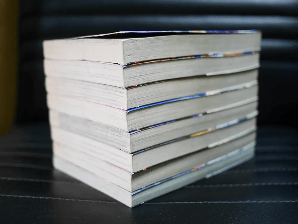 เค็นอิจิ ลูกแกะพันธุ์เสือ เล่ม 1-8 รูปที่ 3