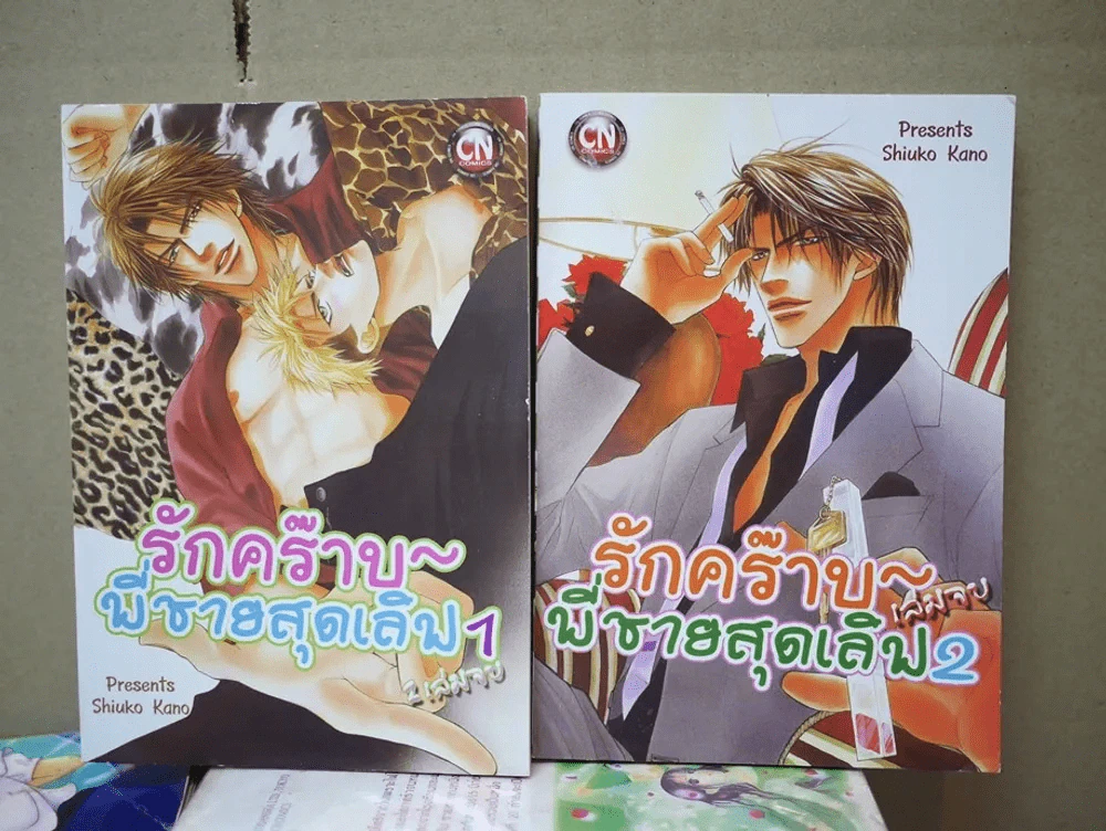 รักคร๊าบพี่ชายสุดเลิฟ 2 เล่มจบ รูปที่ 1