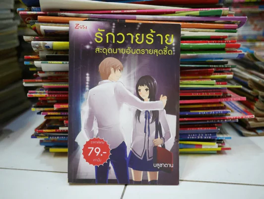 รักวายร้ายสะดุดนายอันตรายสุดซี๊ด รูปที่ 1